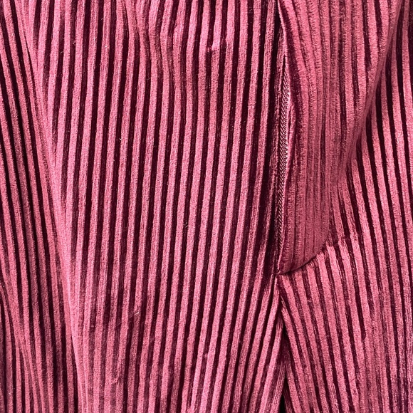 ❤️ URBAN OUTFITTERS SOPHIE CORDUROY FLARE MERLOT RED TROUSER PANTS SIZE 4 NEW - Picture 3 of 8